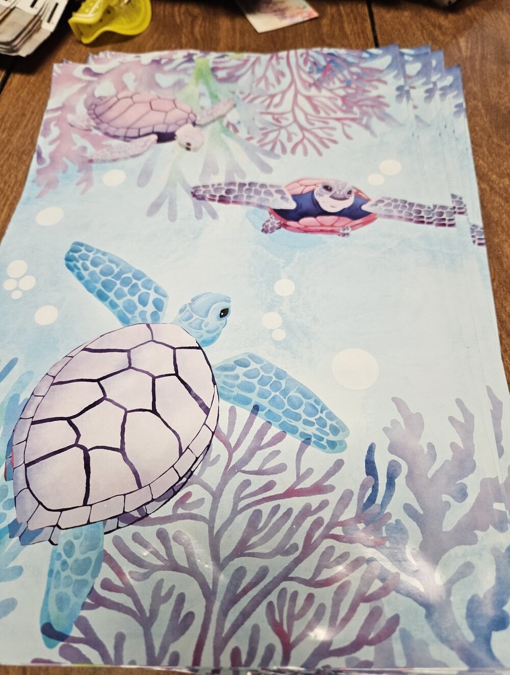 Turtle Polymailer Packages